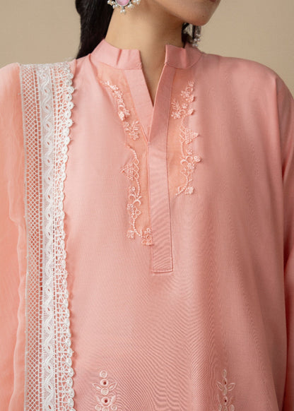 Vaneeza 3PCS