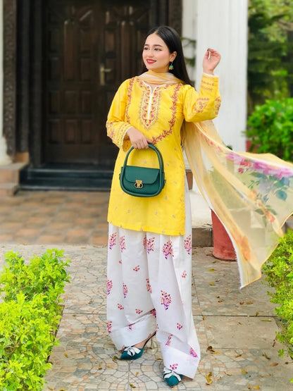 Hajra Emb Soft Lawn 3pc
